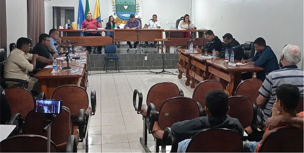Resumo da  11ª Sessão Ordinária de 2025